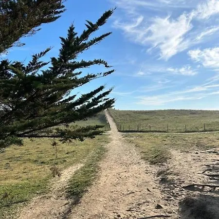 Feriehus Sous Les Pins Avec Et Acces Prive A La